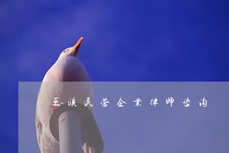 巫溪民营企业律师咨询 巫溪民营企业律师咨询