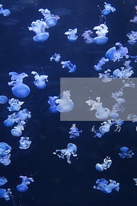 差6万网贷逾期2年后果 差6万网贷逾期2年后果