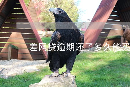 差网贷逾期还了多久能买房 差网贷逾期还了多久能买房
