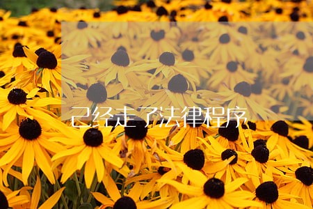 己经走了法律程序 己经走了法律程序