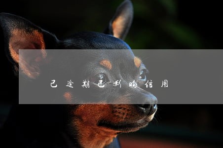 己逾期己影响信用 己逾期己影响信用