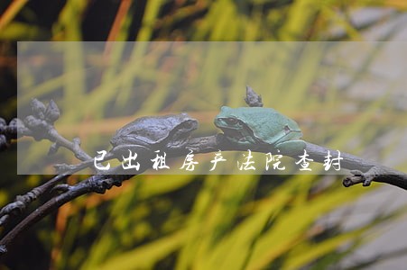 已出租房产法院查封 已出租房产法院查封
