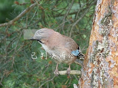 已判决诉讼会计分录 已判决诉讼会计分录