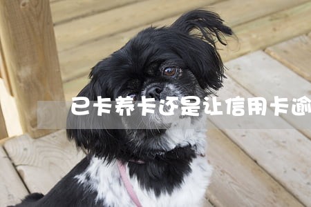 已卡养卡还是让信用卡逾期 已卡养卡还是让信用卡逾期