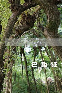 已取证完毕委托律师追责