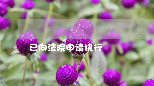 已向法院申请执行 已向法院申请执行