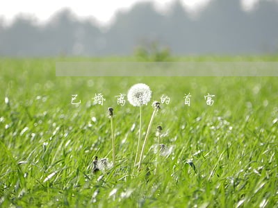 已婚离婚的首富 已婚离婚的首富