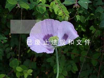 已废止法规和文件 已废止法规和文件