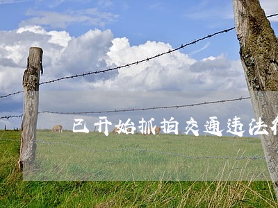 已开始抓拍交通违法行为