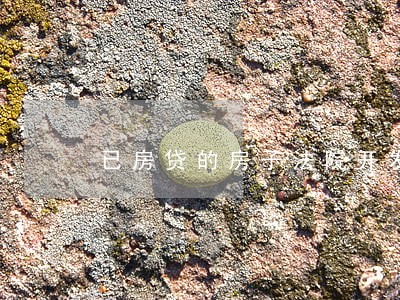 已房贷的房子法院开发商查封