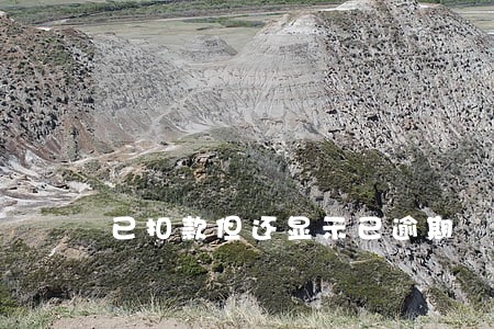 已扣款但还显示已逾期 已扣款但还显示已逾期