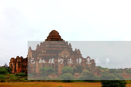已批捕的法律意见书 已批捕的法律意见书