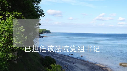 已担任该法院党组书记 已担任该法院党组书记