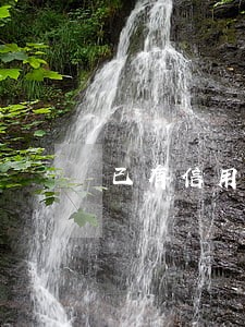 已有信用卡逾期怎么办 已有信用卡逾期怎么办