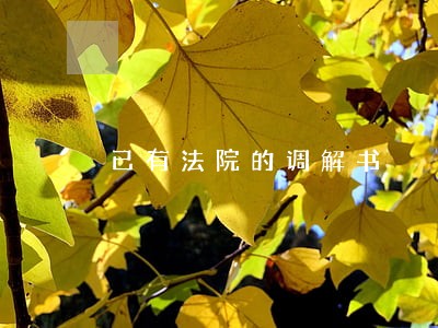 已有法院的调解书 已有法院的调解书