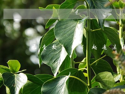 已查处765起违法违规行为 已查处765起违法违规行为