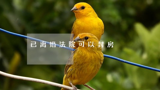 已离婚法院可以封房 已离婚法院可以封房