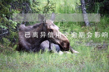 已离异信用卡逾期会影响到子女么 已离异信用卡逾期会影响到子女么