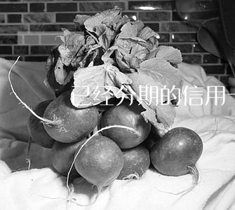 已经分期的信用卡逾期怎么办 已经分期的信用卡逾期怎么办