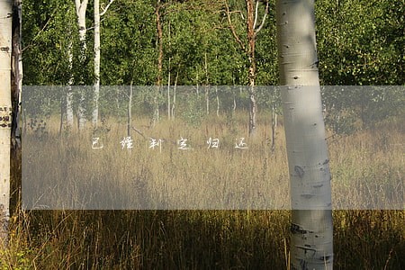 已经判定归还