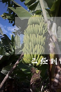 已经到法院起诉了一年 已经到法院起诉了一年