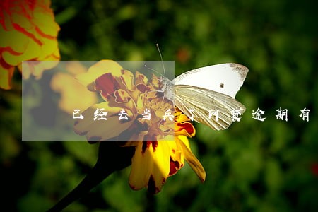 已经去当兵了网贷逾期有影响吗 已经去当兵了网贷逾期有影响吗
