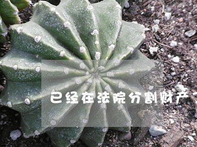 已经在法院分割财产了 已经在法院分割财产了