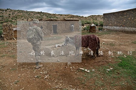 已经在法院申请强制执行三个月了 已经在法院申请强制执行三个月了