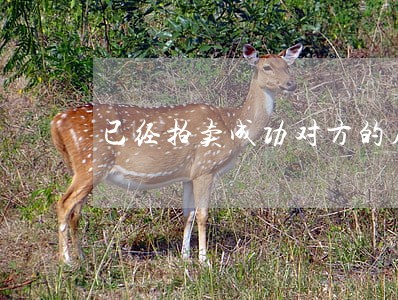 已经拍卖成功对方的房产