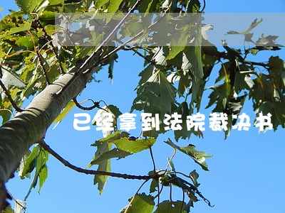 已经拿到法院裁决书