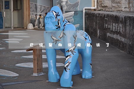 已经是向法院起诉了