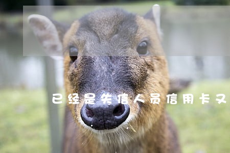 已经是失信人员信用卡又逾期 已经是失信人员信用卡又逾期