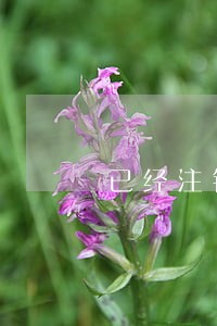已经注销的信用卡有逾期怎么办 已经注销的信用卡有逾期怎么办