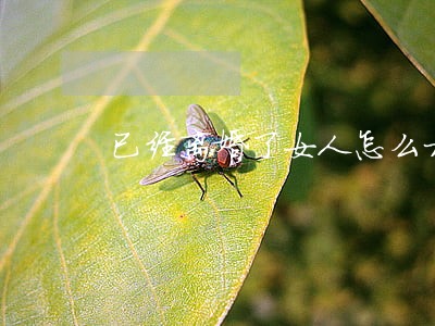 已经离婚了女人怎么相处 已经离婚了女人怎么相处