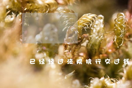 已经经过法院执行交过钱了 已经经过法院执行交过钱了