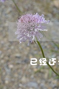 已经还清因逾期而停用信用卡 已经还清因逾期而停用信用卡