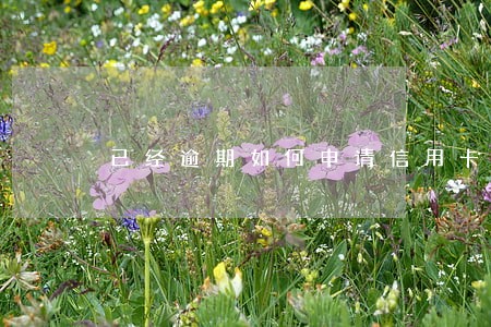 已经逾期如何申请信用卡