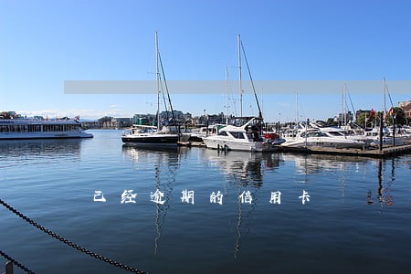 已经逾期的信用卡 已经逾期的信用卡
