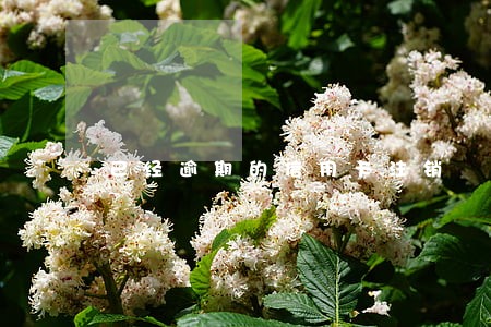 已经逾期的信用卡注销 已经逾期的信用卡注销