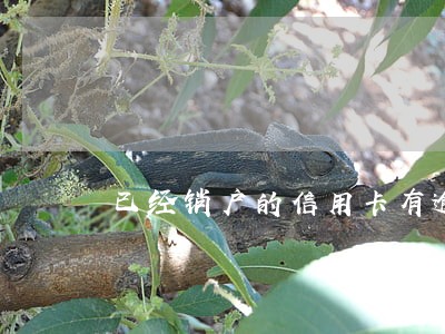 已经销户的信用卡有逾期怎么办