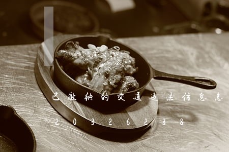 已缴纳的交通违法信息怎么查/2023020326238 已缴纳的交通违法信息怎么查/2023020326238