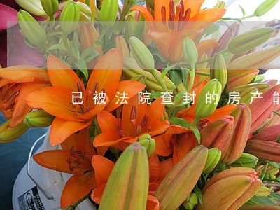已被法院查封的房产能否保全 已被法院查封的房产能否保全
