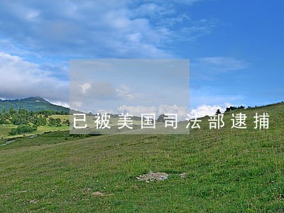 已被美国司法部逮捕 已被美国司法部逮捕