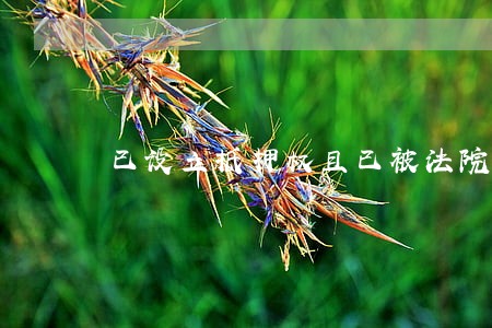 已设立抵押权且已被法院查封 已设立抵押权且已被法院查封