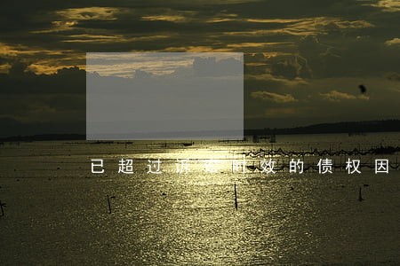 已超过诉讼时效的债权因不受保护 已超过诉讼时效的债权因不受保护