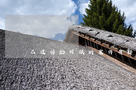 已过诉讼时效的案件有新证据 已过诉讼时效的案件有新证据