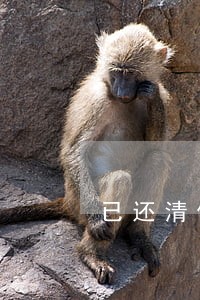 已还清但又逾期上征信吗 已还清但又逾期上征信吗