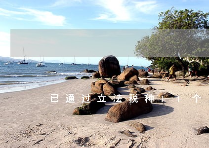 已通过立法税种11个