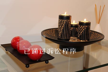 已通过诉讼程序 已通过诉讼程序