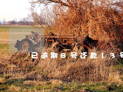 已逾期8号还款13号还的没事吧 已逾期8号还款13号还的没事吧